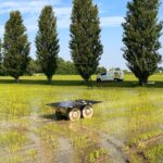 Vi presentiamo il MOONDINO, il robot agricolo che sta lavorando nelle nostre risaie!