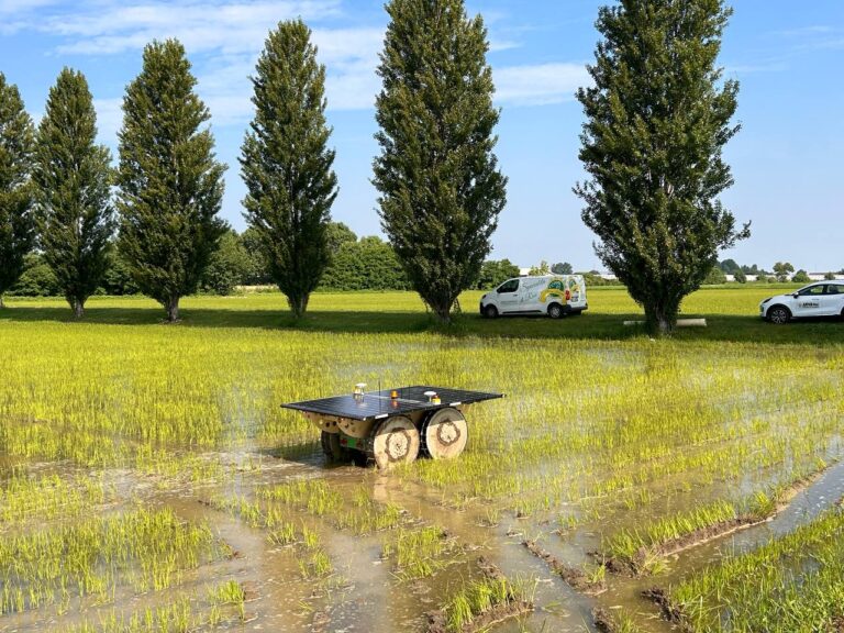 Vi presentiamo il MOONDINO, il robot agricolo che sta lavorando nelle nostre risaie!