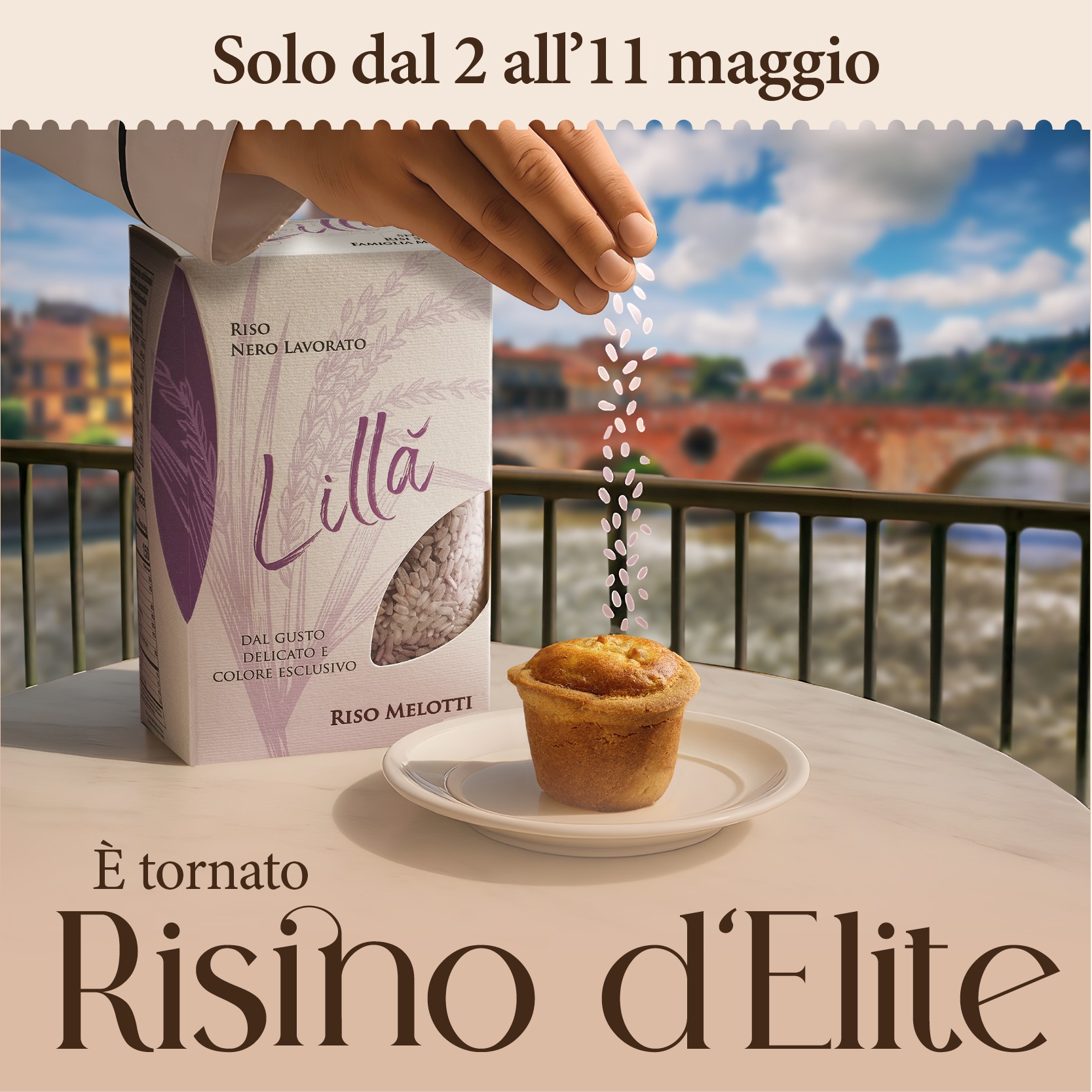 Torna la settimana dedicata al RISINO d’ELITE a Verona