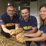 Riso Melotti di Isola della Scala: quando il riso diventa storia di famiglia – Articolo pubblicato da Alphabetcity Magazine